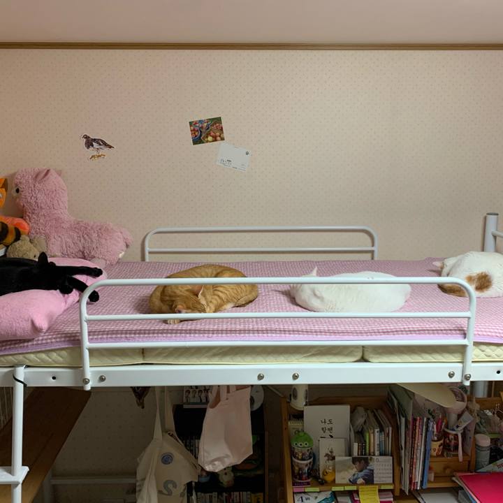 1d7b3023 8d03 485d 8727 1b8c92c7ac4c 1572086687955