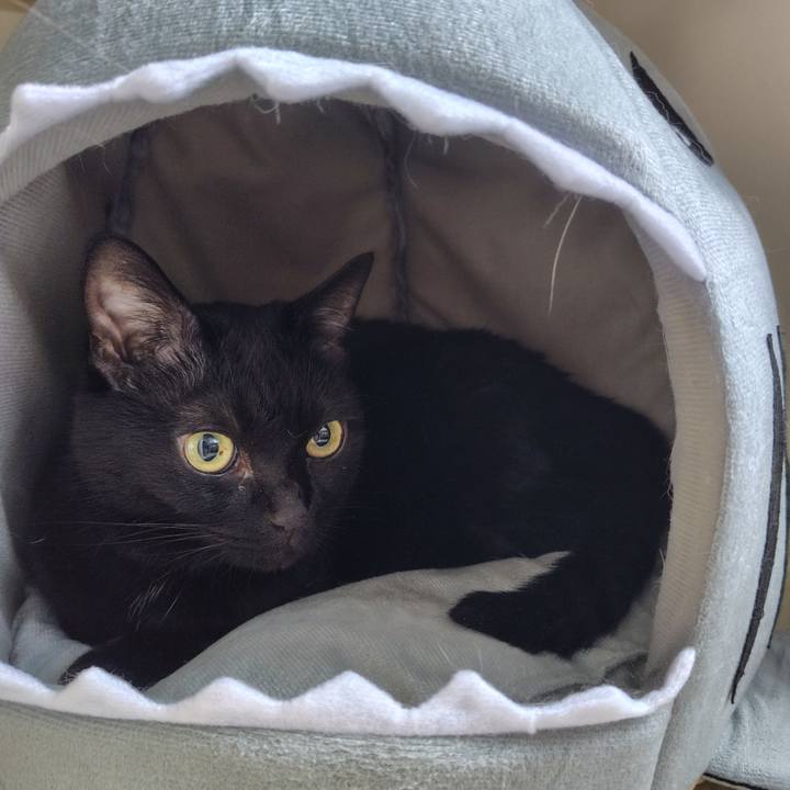 1d7b3c0a 7fe6 4089 85da efa7021255c0 1726871408979