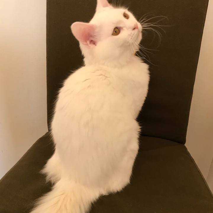 1d7b7edf 49be 404e b565 8f805537cbf4 1513079556921