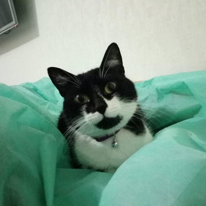 1d7b97e7 ae32 4f4d 81f3 41b4d8e81810 1510606025173