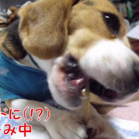 1d7b9f08 c28f 4d3b a94a 1b71941b79e5 1715989855349