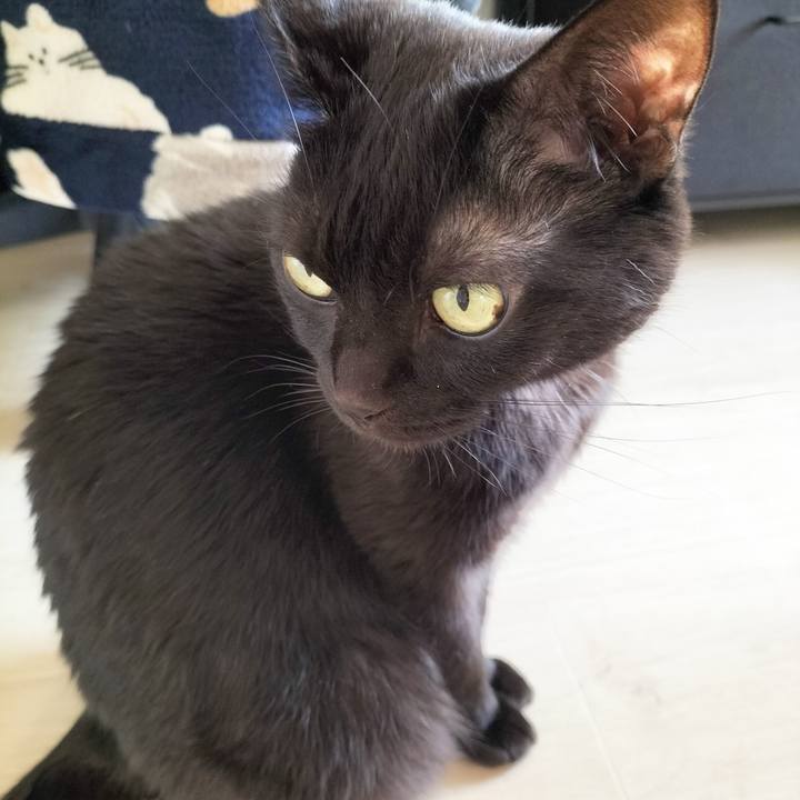 1d7baf62 e188 4134 b26a 9f20f4691752 1704497476322