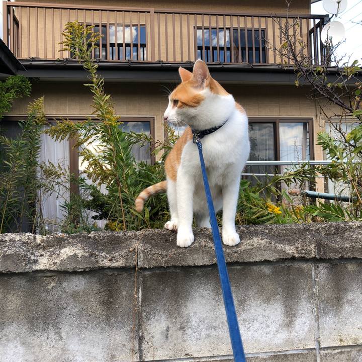 1d7bc9de 6549 43bc 8359 f9b02737c5cf 1540881792635