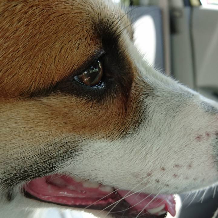 1d7bcc6d aea0 4d6b 947c 51dfb9d0bd5b 1568519528341