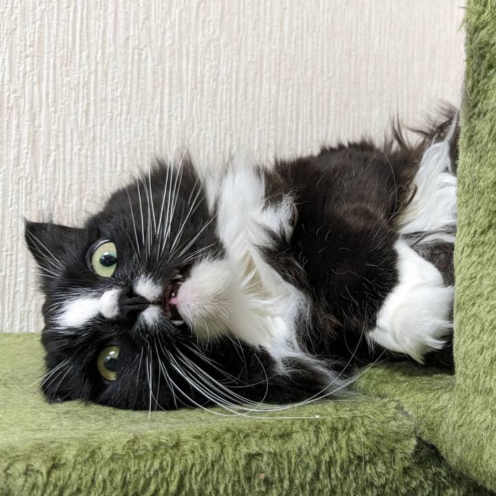 1d7bddfc a742 4a41 bf3a 0c6d485839ca 1717038011004