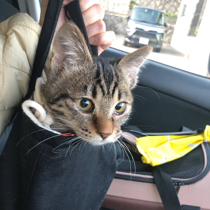 1d7c440f 3486 4682 af2c 8a1b3938e641 1731191402373