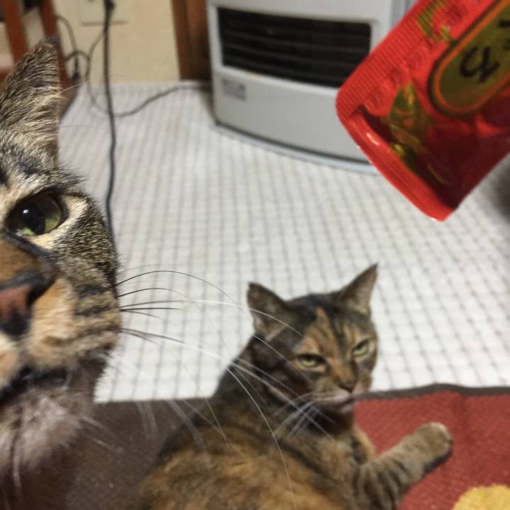 1d7c5699 2daf 416d bfc7 501fb86f2134 1516625197254