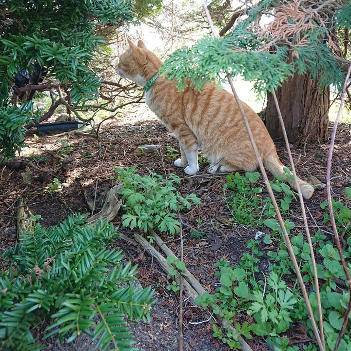 1d7ccd96 6645 4e7d af06 8e4b3a206d0f 1586672453093