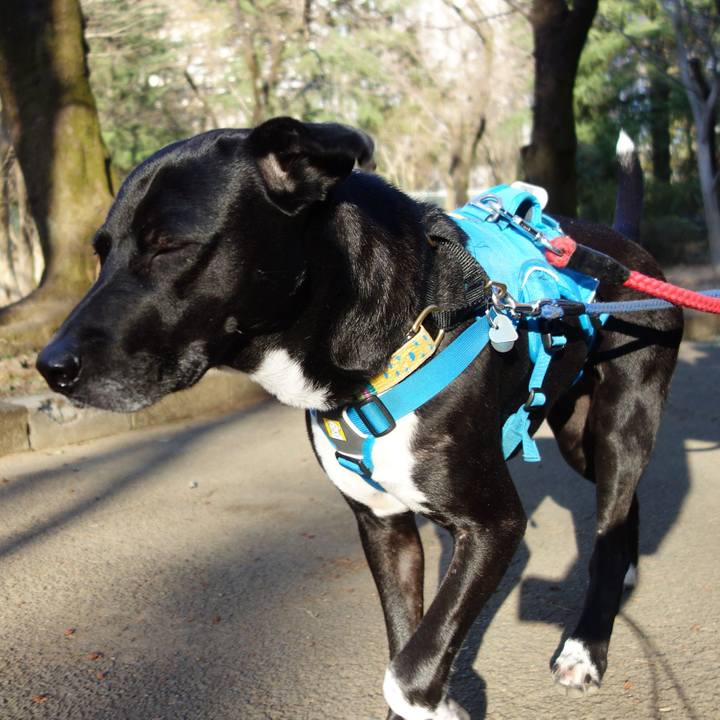 1d7cd74f b4f4 4a67 9b7f 4c7620a8ca76 1615765120053