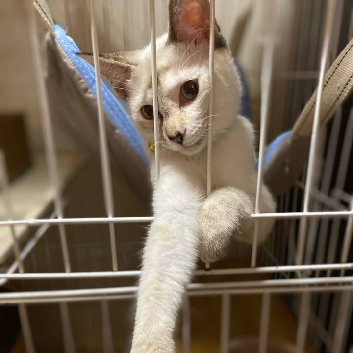 1d7ce2b3 05c6 439f b2ec 8add4daa82c8 1631265427435