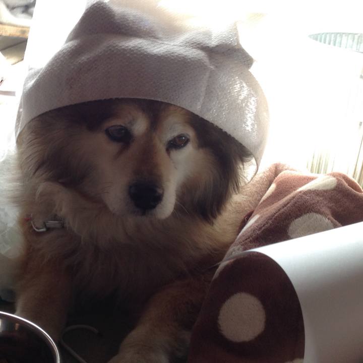 1d7cec3f 8972 4fa1 82e7 7263d7e58328 1553421889669