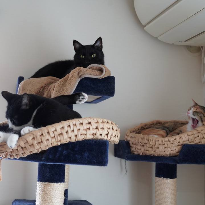 1d7cf0e3 670e 4044 a03e 99064db58837 1617539367081