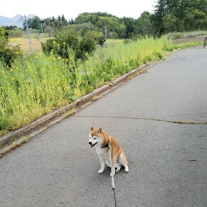 1d7cf6c6 fd16 455a b827 ce6f094d3df9 1620719452942