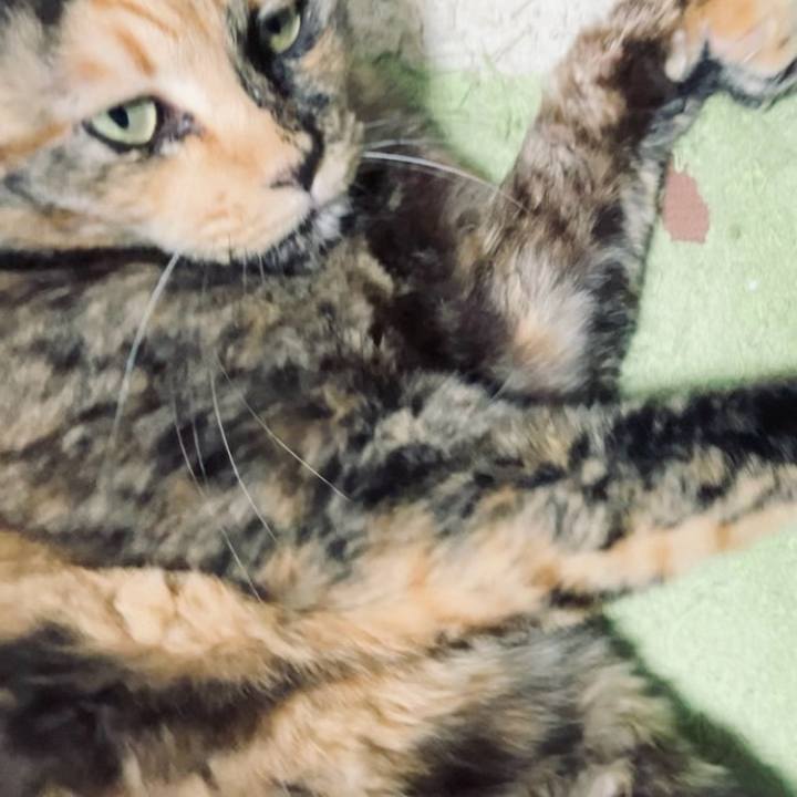 1d7d2fd9 899c 4c64 aefd 59c8d62fcfc1 1736196619724