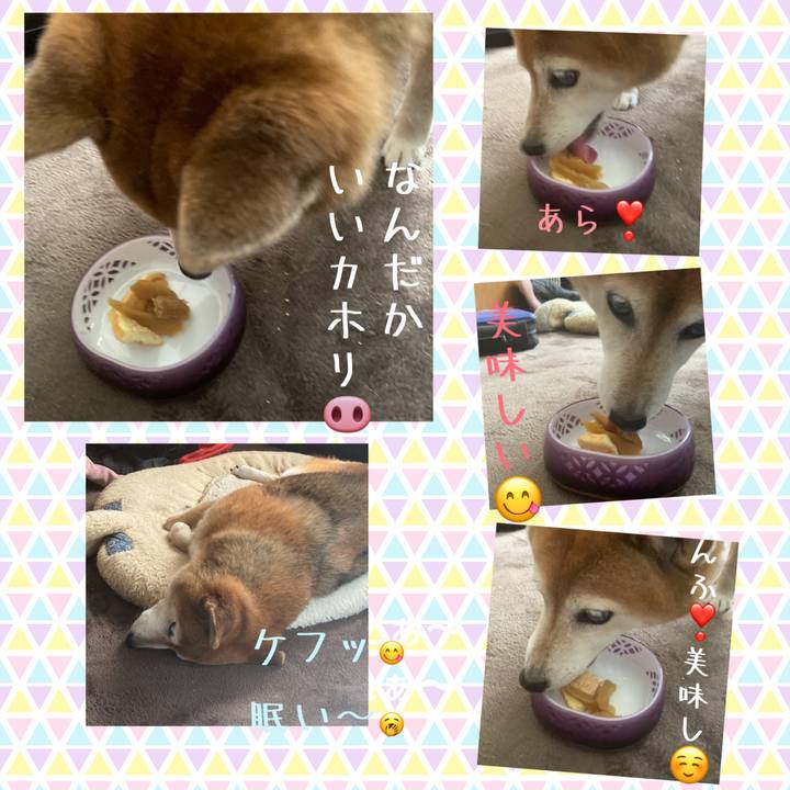 1d7d6387 77c4 4fbf b9d9 51f35211be17 1697955394699