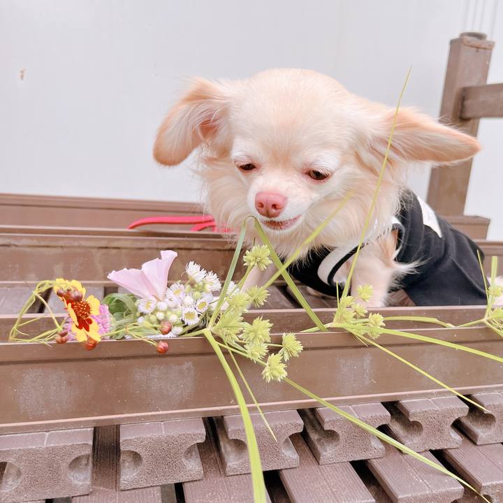 1d7d7d6d 17f1 44d9 a285 5c62656e0a63 1654683841074