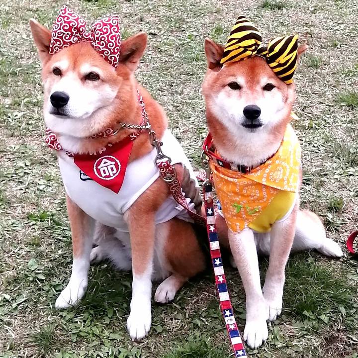 1d7d8b99 8a0c 4eca 934c 81953eb108f7 1650904163081