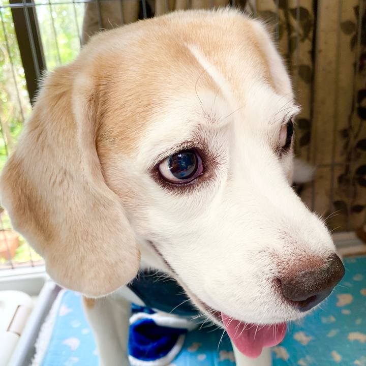 1d7d9747 906f 48ba aead 934a2dc870b3 1625888775203