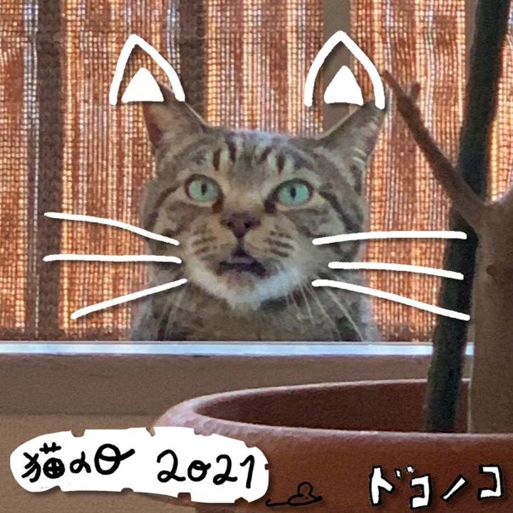 1d7dac73 ea28 42af 8846 7b60193eb90e 1613965072926