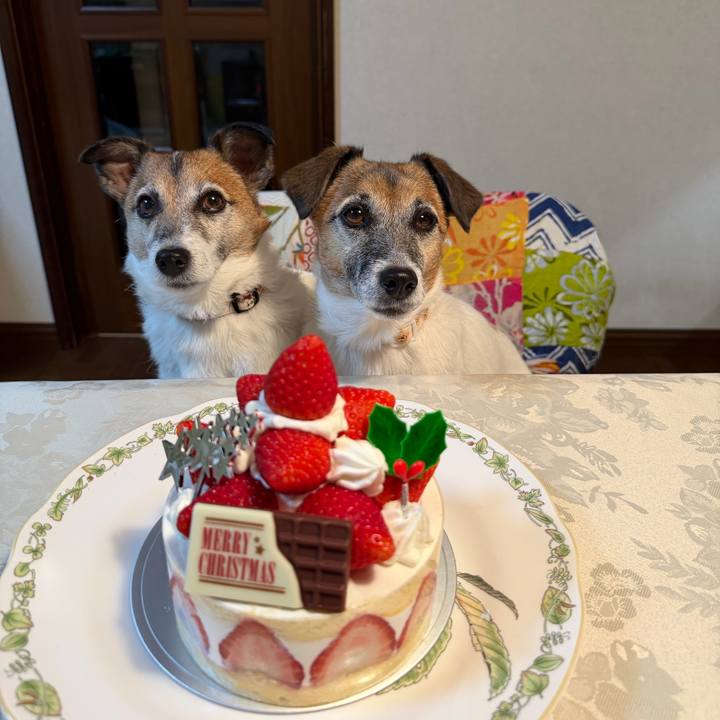 1d7dc5c0 54fa 4a4d 8643 29347d6f58fb 1766665534325