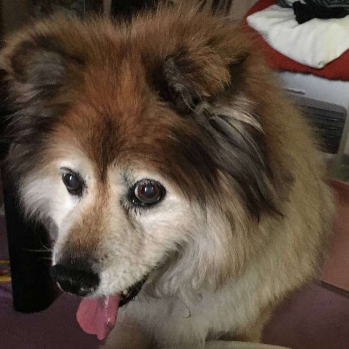 1d7dd04e 697d 4480 999c 600db4b0429d 1597148372322