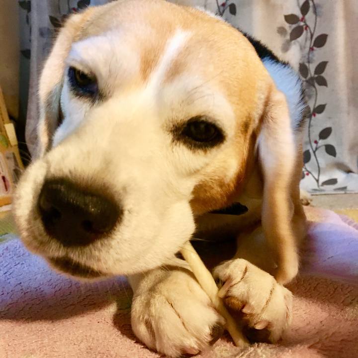 1d7e0bb7 cab6 4853 9475 192975abd346 1754884246245