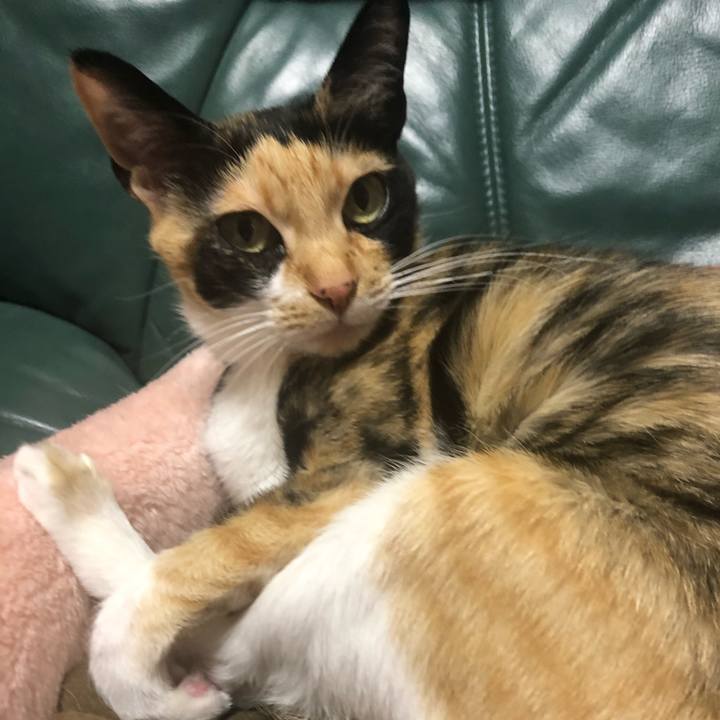 1d7e151a 452a 4607 904f c9051bd94f83 1583929283416