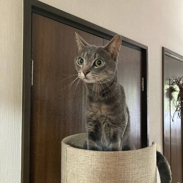 1d7e4555 c6f6 45c4 a0a3 a90eeef0455e 1622251353817