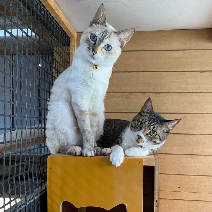 1d7e8445 227f 4fb3 8bfc 4379f759614a 1658534961687