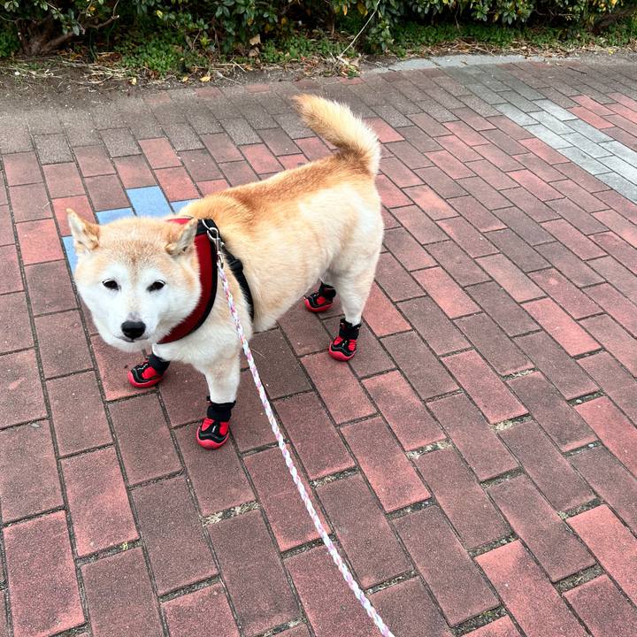 1d7e9ec8 d850 4200 aa98 daff9039166e 1735282058788