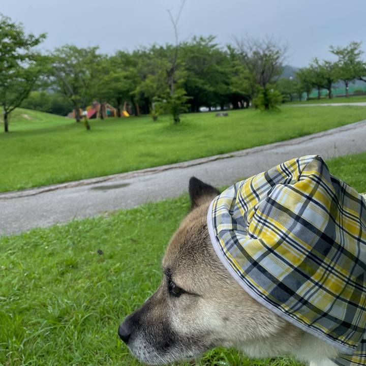 1d7ec257 2ba6 4262 b36e 664f87ac7a7b 1720952509854