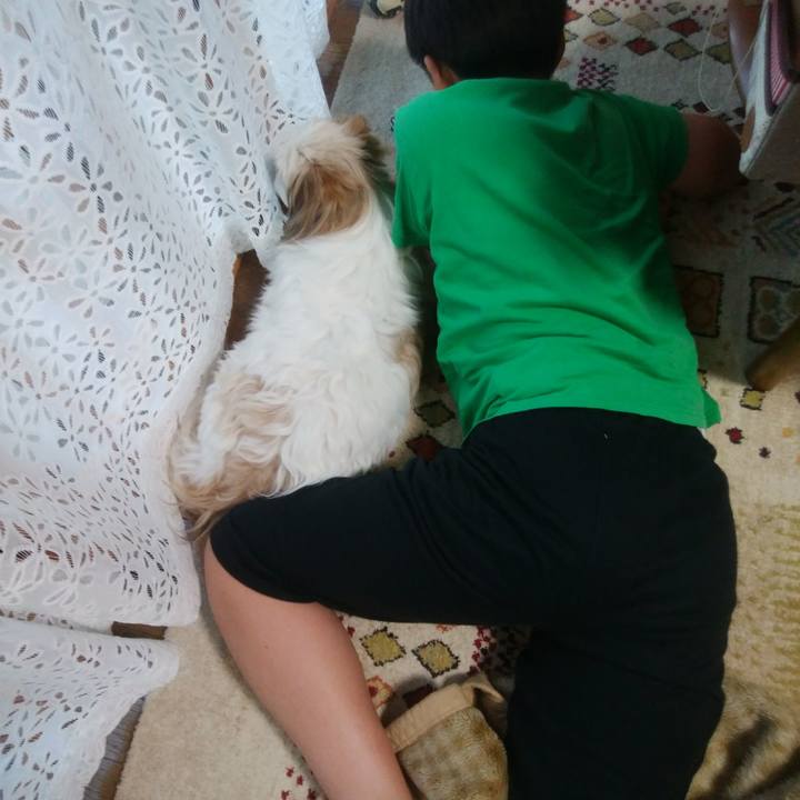 1d7ecf4b 7062 48fe 8ccc f4f2eb7b979b 1527936602686