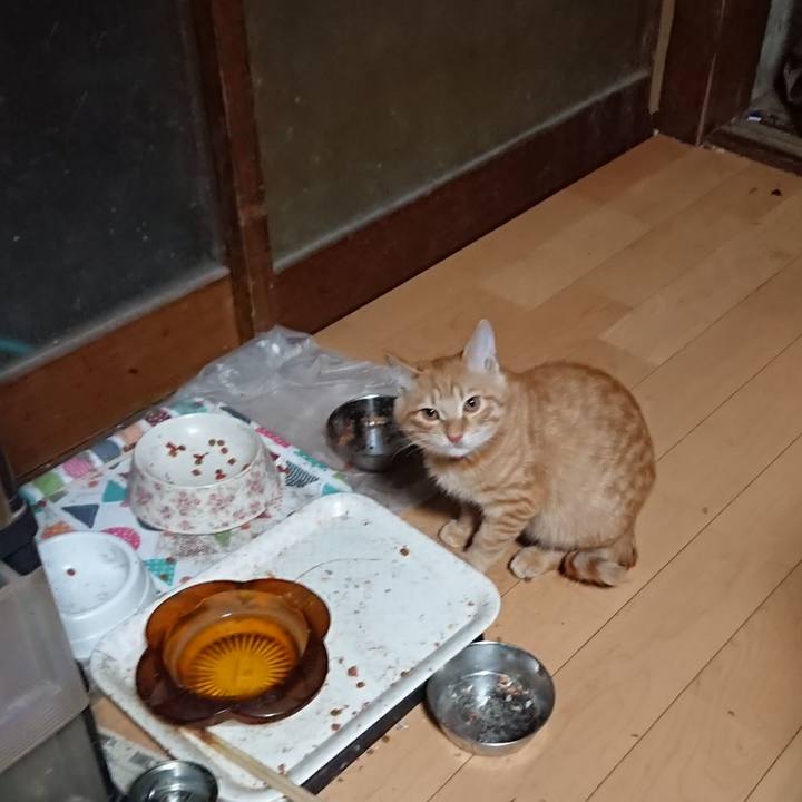 1d7ef2ad 114c 46fb b5b8 b044a8552feb 1635626530731