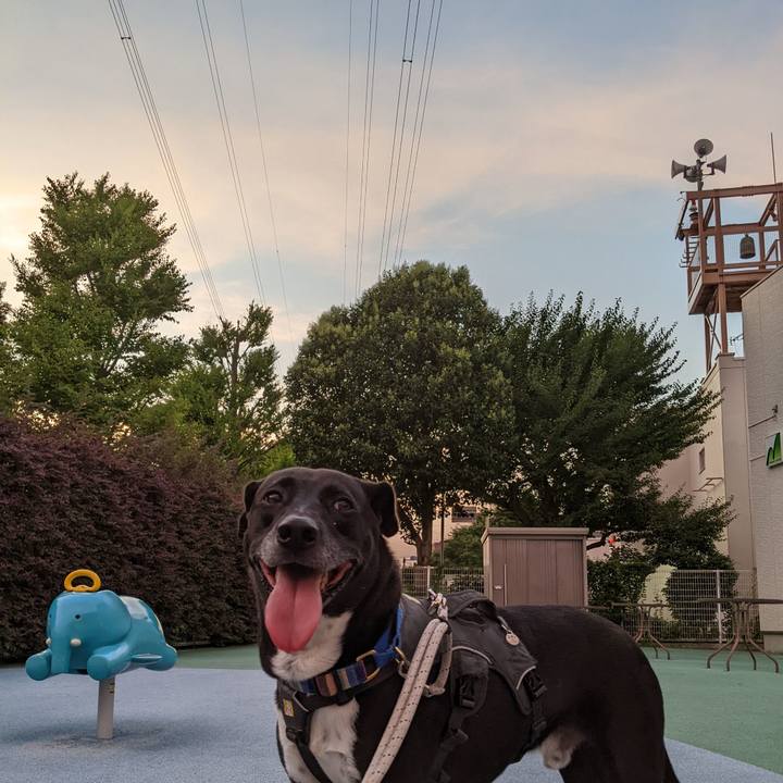 1d7f22bb 65e4 4de7 aed2 a16591394c26 1655463414072