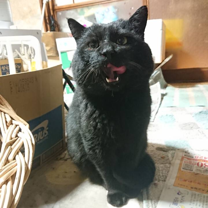 1d7f6f1a 3fc1 4322 9b1e ac05e0845fc7 1647517708485