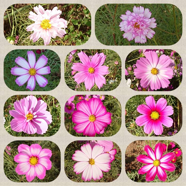 1d7f81ef 1823 4746 be29 17e6f06460dd 1602702845140