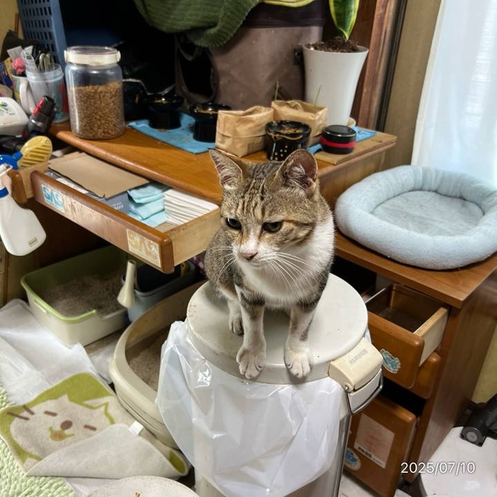 1d7f9307 47c8 4f38 a16e 5d85d87b85d5 1752098579200