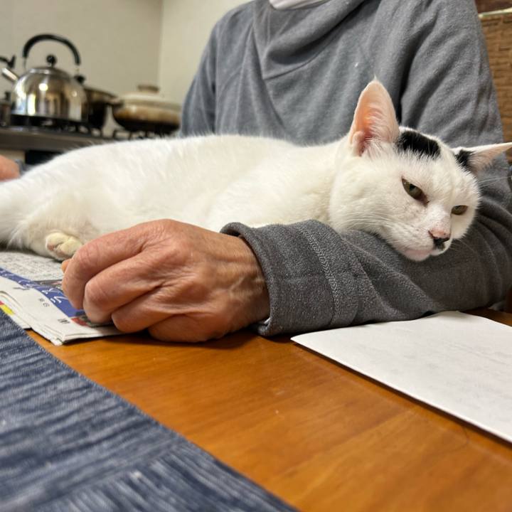 1d7f9bd3 8081 49f9 be15 5b07d9efab9c 1733184415093