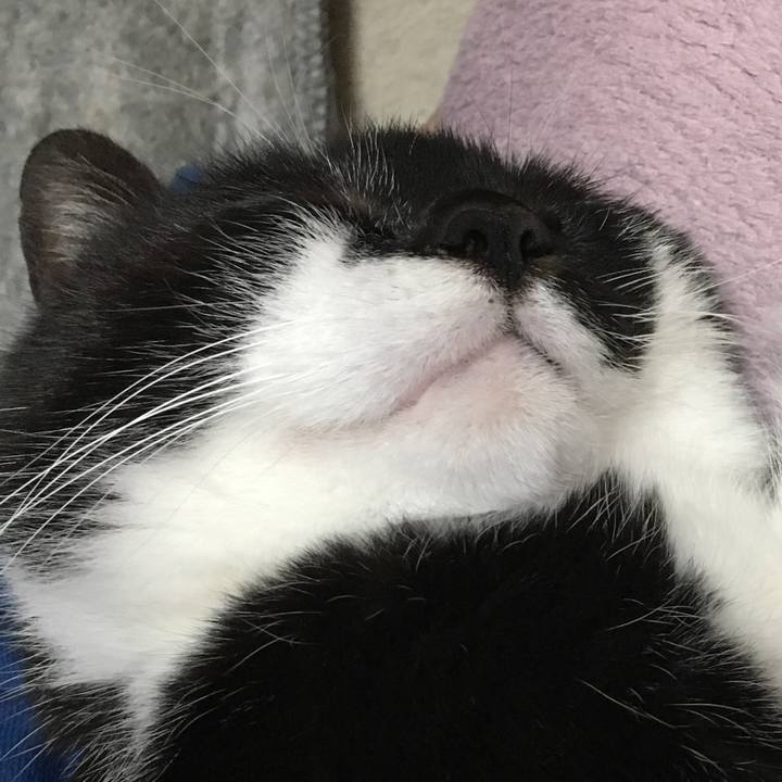 1d7fbb31 878c 4a91 83e5 1b477993726d 1550317284518