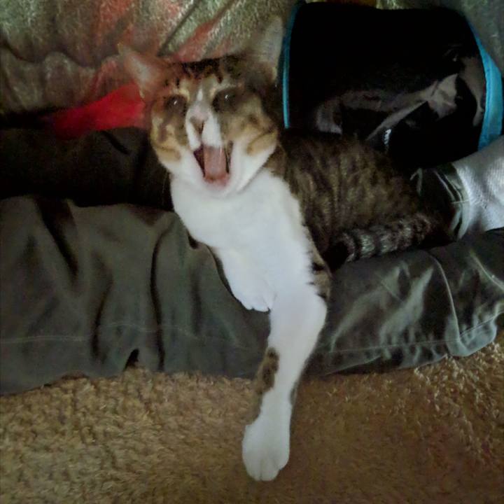 1d7feecd 7415 47c3 89e1 d8f942b845d1 1547388876098