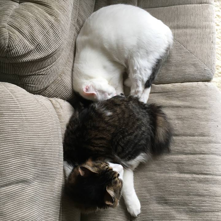 1d7ff16a 8c17 4df8 aa50 c97cfda2adca 1508546134303