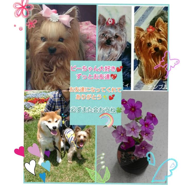 1d7ffb19 c6b4 414a 86a6 2be268ca8f26 1534140237660