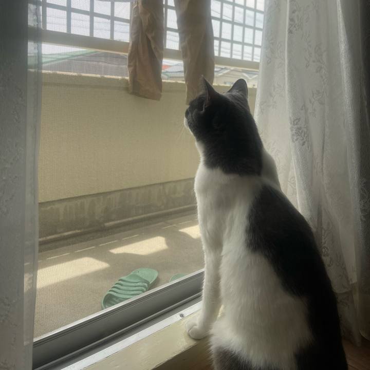 1d800e46 9256 471b adaa aa8b42c20d1f 1654396871053