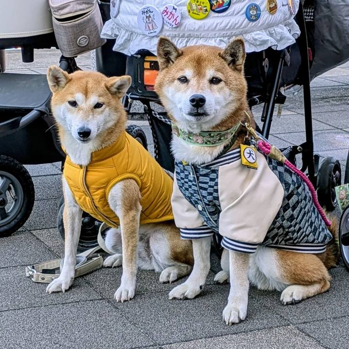 1d806142 21c4 4548 a5c5 882790828ca2 1767106135943