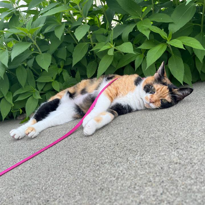 1d807c01 0be4 42c8 b78b cd154994ebc7 1758164767835