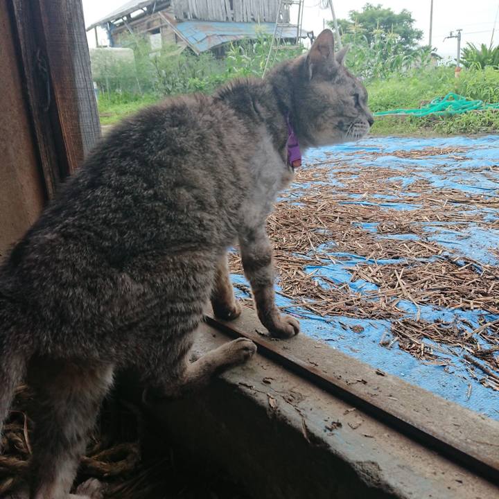 1d80da90 44c1 403a 825f 4964839a8246 1595017543097