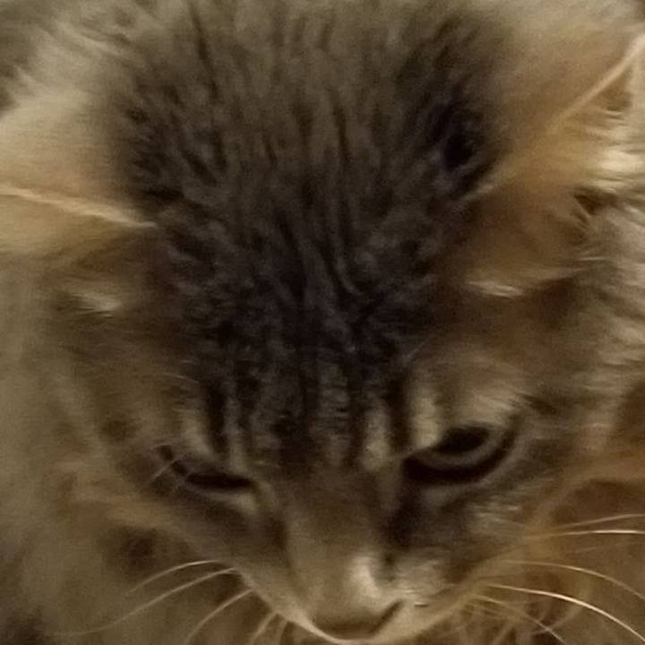 1d80db20 7c6a 4729 9c4e bd544f1cbd92 1559393427454