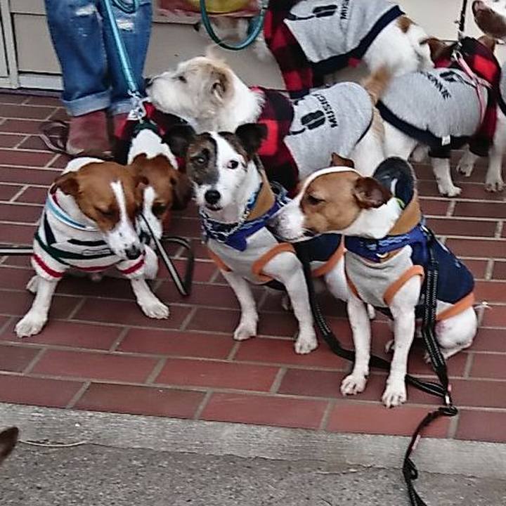 1d80ed05 5311 43b4 bc79 c9b284061b7f 1550326693394