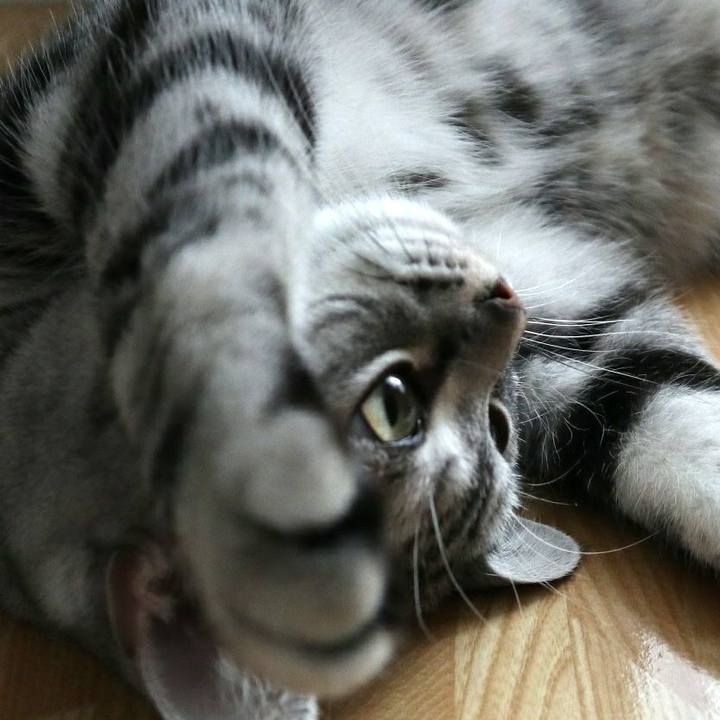 1d8127d0 186e 4b63 b583 a07d393ab906 1590842398049