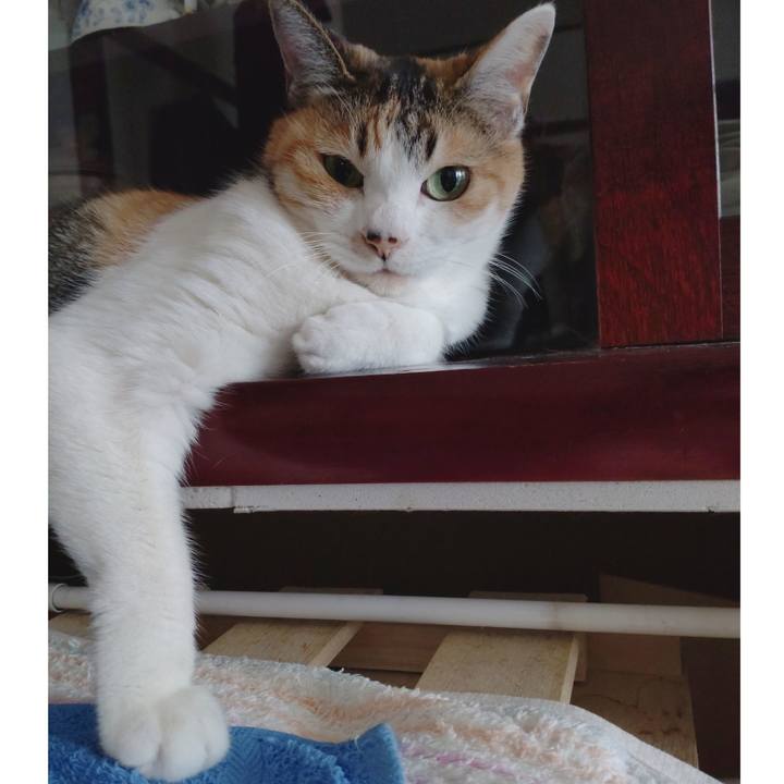 1d813731 32e8 478d 9285 f9ab698a98cd 1647659904070